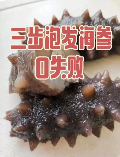 海参怎么泡发_海参怎么做好吃