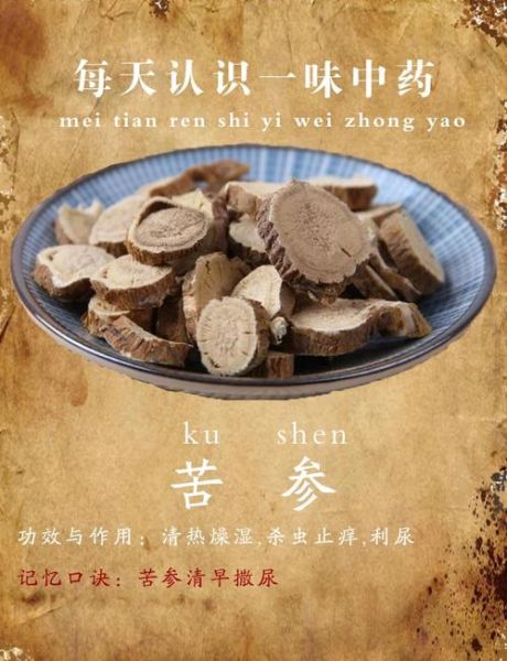 味苦的中药有哪些_味苦的中药有什么功效
