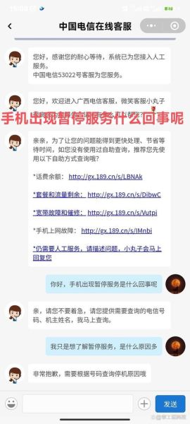 手机暂停服务怎么办_停机原因查询