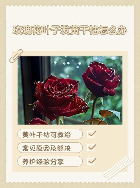 花不好怎么办_花枯萎了还能救活吗