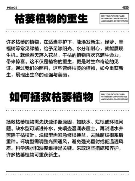 植物快死了怎么办_如何抢救快枯萎的植物