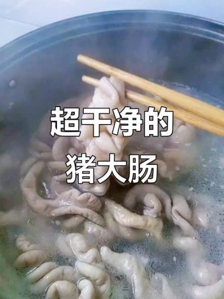 肥肠怎么洗干净_肥肠怎么做才脆嫩