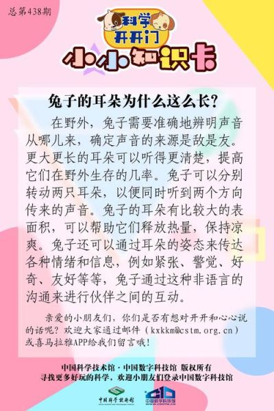 兔子耳朵为什么那么长_兔子耳朵有什么作用