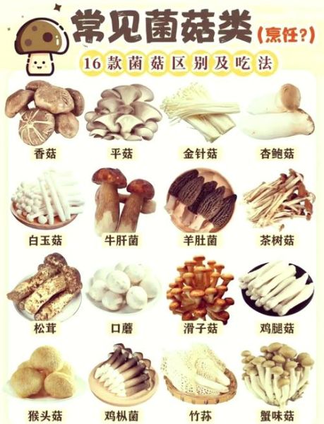 蘑菇怎么做好吃_家常蘑菇做法大全