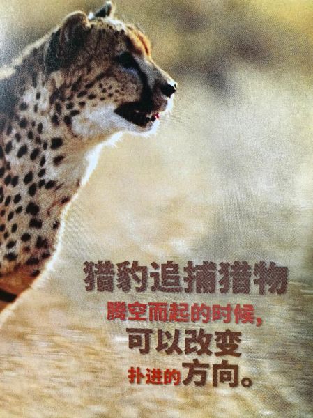 巨大事物有哪些_如何形容巨大事物