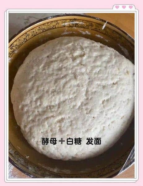 发面包子怎么做_发面包子面怎么发才松软