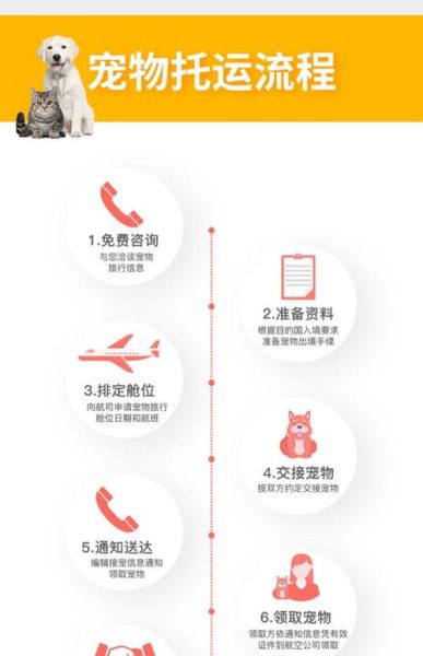 宠物移民流程_宠物出国需要什么手续