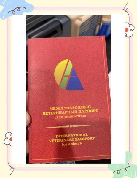 宠物移民流程_宠物出国需要什么手续