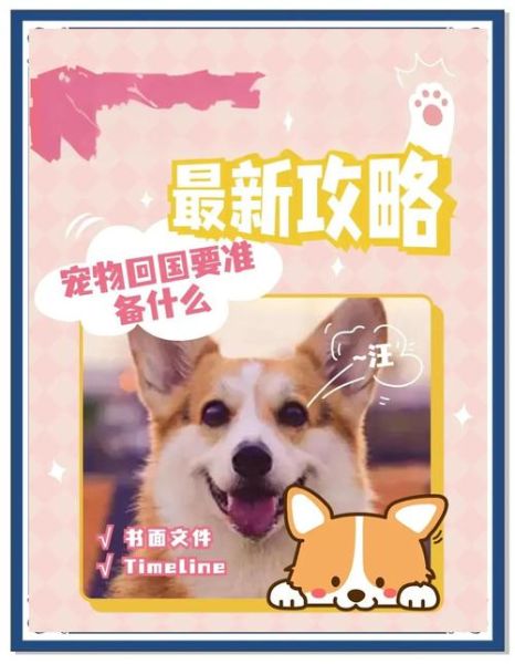 宠物移民流程_宠物出国需要什么手续