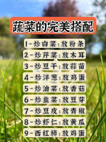 菜色什么填词语_如何搭配颜色更诱人