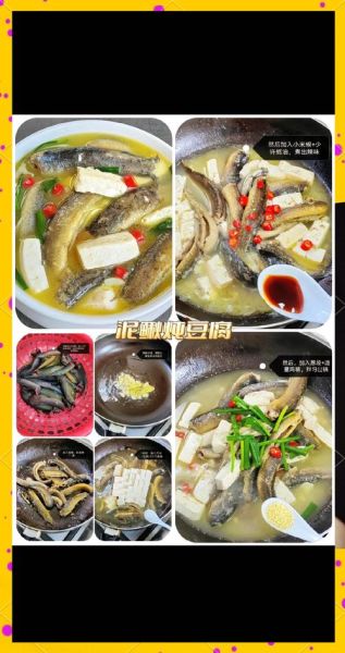 小儿健脾泥鳅汤的做法_泥鳅汤怎么炖不腥