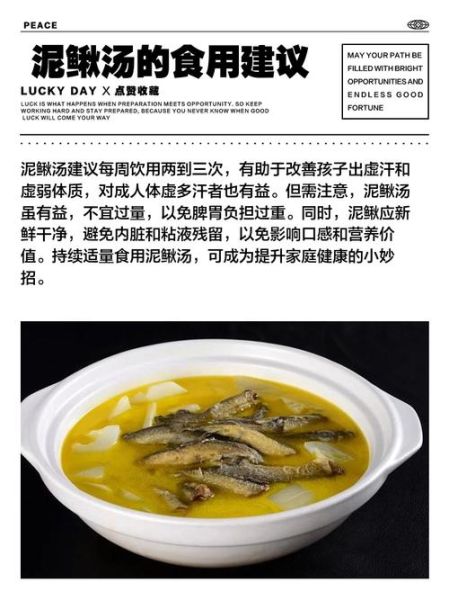 小儿健脾泥鳅汤的做法_泥鳅汤怎么炖不腥