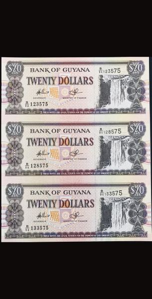 圭亚那移民条件_圭亚那移民需要多少钱