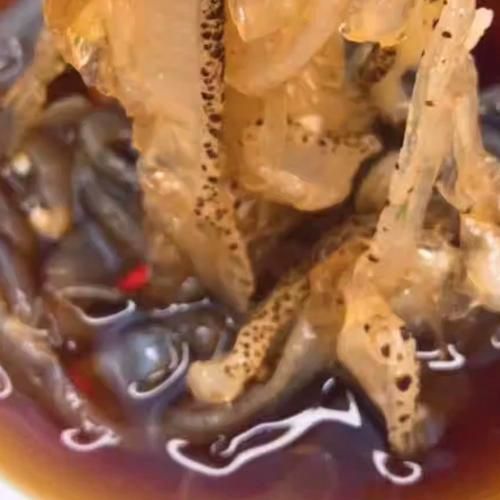 海蜇皮怎么清洗_海蜇皮凉拌前怎么处理