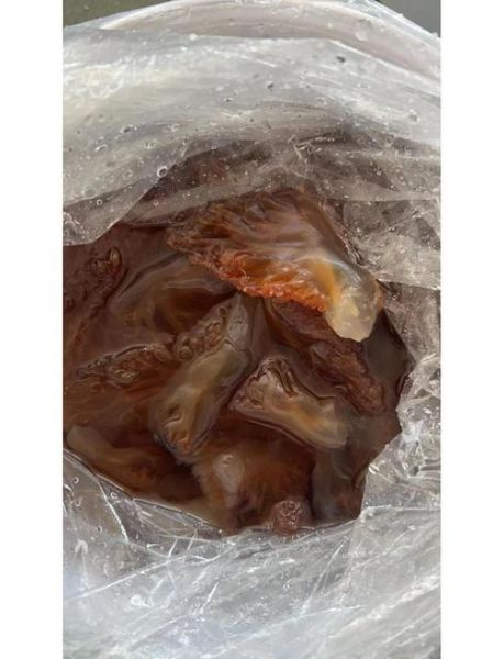 海蜇皮怎么清洗_海蜇皮凉拌前怎么处理