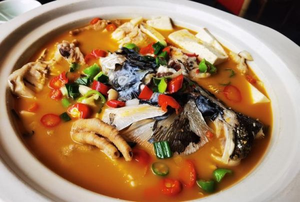 胖头鱼怎么做好吃_胖头鱼炖豆腐的做法