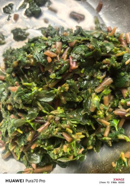 干马齿苋包子馅怎么做_干马齿苋包子馅做法窍门