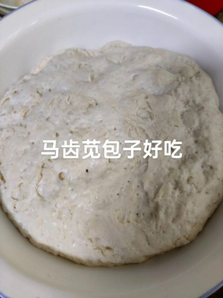 干马齿苋包子馅怎么做_干马齿苋包子馅做法窍门