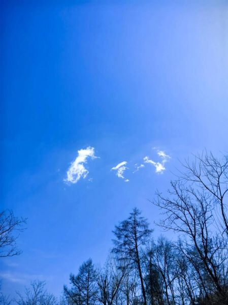 白云像什么_白云是怎么形成的