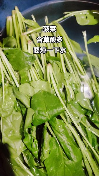 菠菜怎么炒好吃_菠菜焯水几分钟才绿
