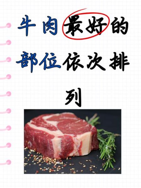 什么牛排适合煎_牛排怎么选部位