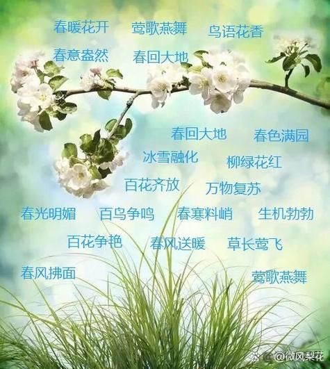 春天有哪些声音_如何描写春天的听觉词语