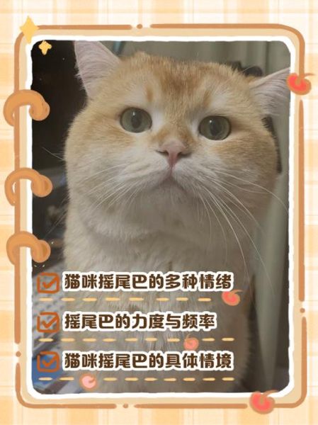 甩尾巴的动物有哪些_甩尾巴代表什么含义