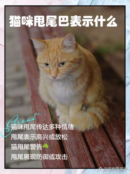 甩尾巴的动物有哪些_甩尾巴代表什么含义