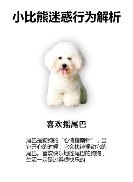 甩尾巴的动物有哪些_甩尾巴代表什么含义