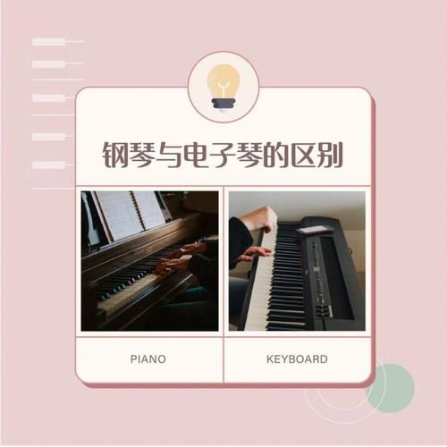 演奏琴和钢琴有什么区别_初学者如何挑选