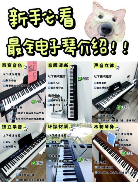 演奏琴和钢琴有什么区别_初学者如何挑选