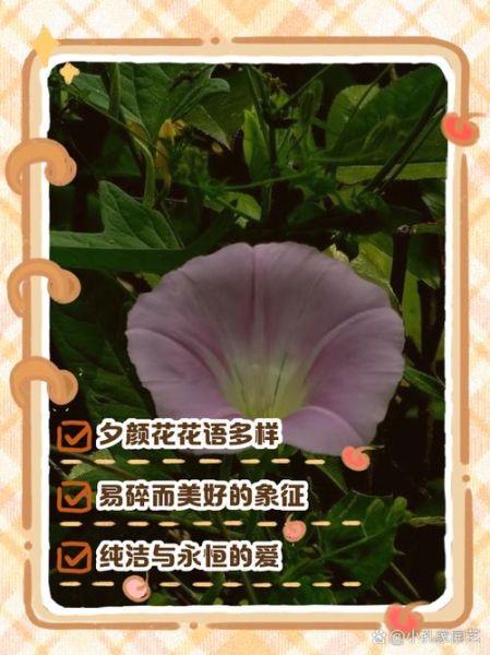 花颜形容什么_花颜的词语有哪些