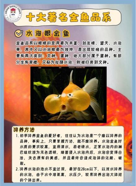 金鱼怎么写词语_金鱼相关词语大全