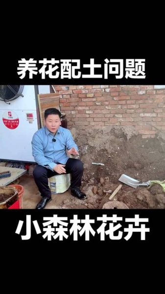 泥土怎么养花_泥土养花常见问题