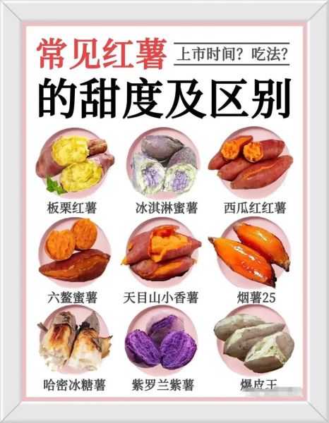 地瓜为什么甜_地瓜有哪些营养价值