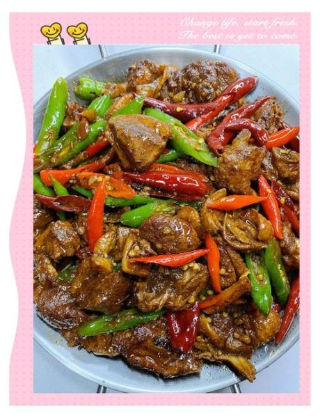 红烧鸭子怎么做才好吃_正宗红烧鸭子的做法