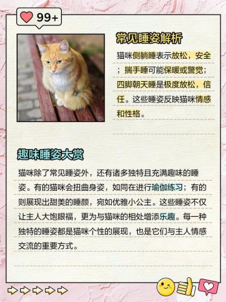 动物睡觉用什么词语_动物睡觉的雅称有哪些