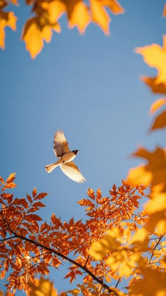 小鸟飞舞的样子像什么_小鸟飞舞有什么寓意