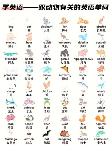 动物abc式词语有哪些_如何教孩子记忆