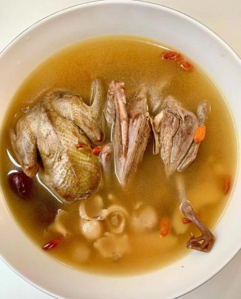 炖鸽子汤的做法_鸽子汤怎么炖最营养