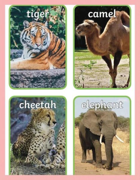 动物abc式词语有哪些_如何教孩子记忆