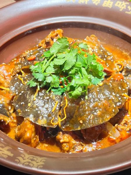 甲鱼怎么做好吃_甲鱼汤最正宗的做法