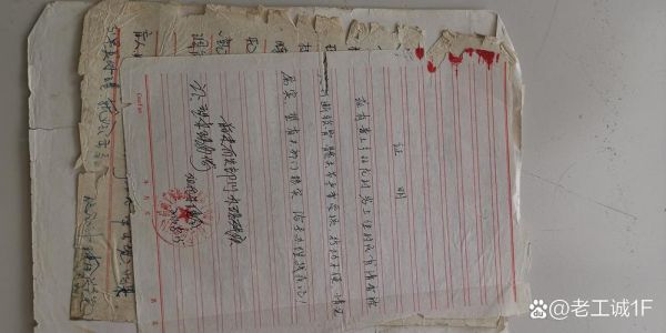 移民局写信格式_如何写移民局解释信