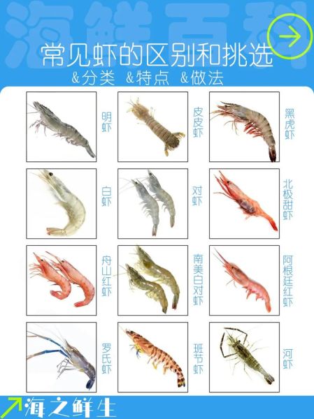 虾形容词语有哪些_如何描写虾的鲜美