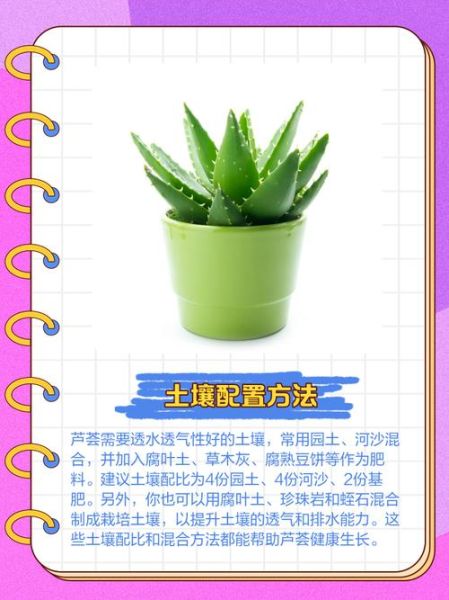 长得茂盛的植物怎么养_长得茂盛的秘诀是什么