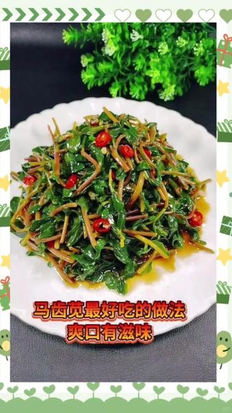 凉拌马齿苋怎么做_马齿苋凉拌前要焯水吗