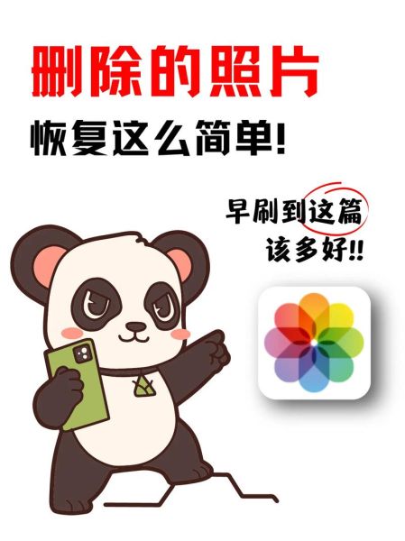 手机原装相机怎么恢复_手机原装相机误删如何找回