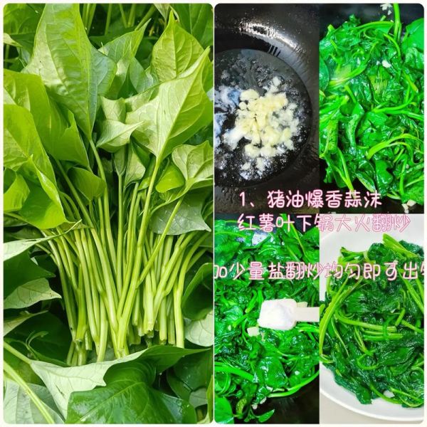 炒红薯叶怎么炒才好吃_红薯叶要不要焯水