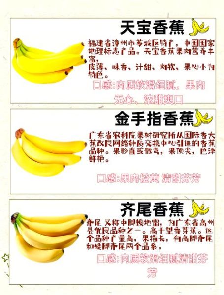 香蕉的味道词语有哪些_如何准确形容香蕉香味