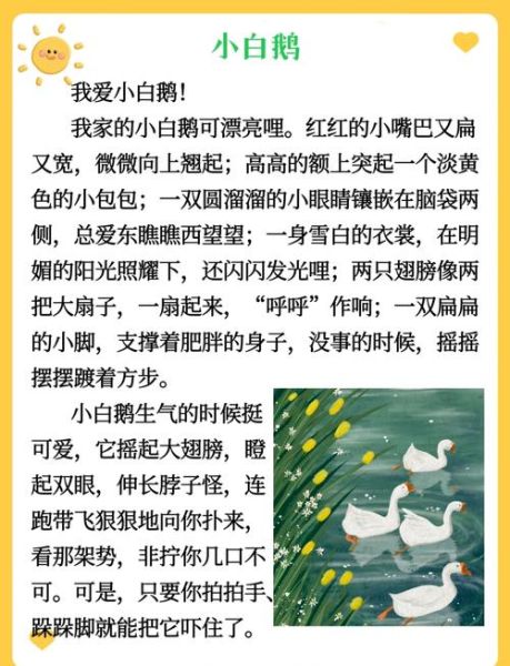 白鹅优美词语有哪些_如何用在作文里